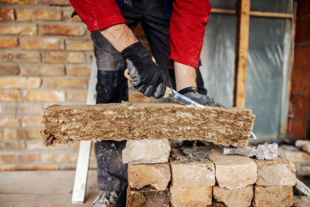 Best Insulation Removal  in Waverly, TN